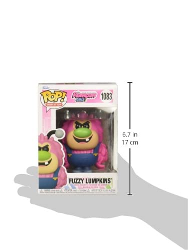 Funko Pop! Animation: Powerpuff Girls - Fuzzy Lumpkins, Multicolor