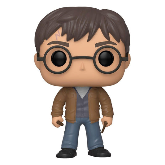 Funko Pop! Harry Potter: Harry with Two Wands # 118 Exclusive Vinyl Figure with Pop Protector