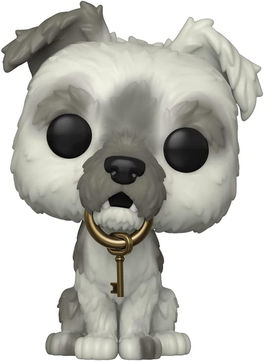 Funko Pop Disney: Walt Disney World 50th - Pirates of The Caribbean Dog with Keys, Multicolor, 58964