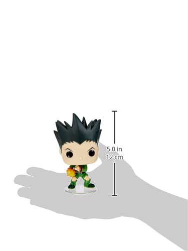 Pop! Animation: Hunter x Hunter- Gon Freeces Jajank